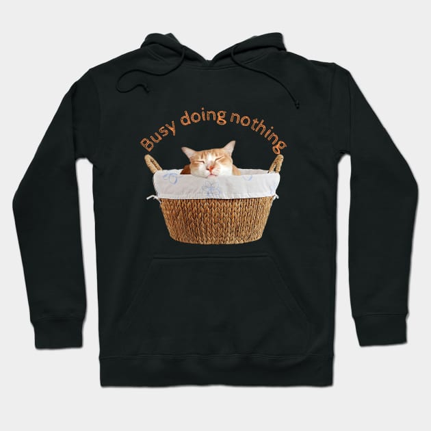 Busy Doing Nothing (Laundry Basket) Hoodie by leBoosh-Designs